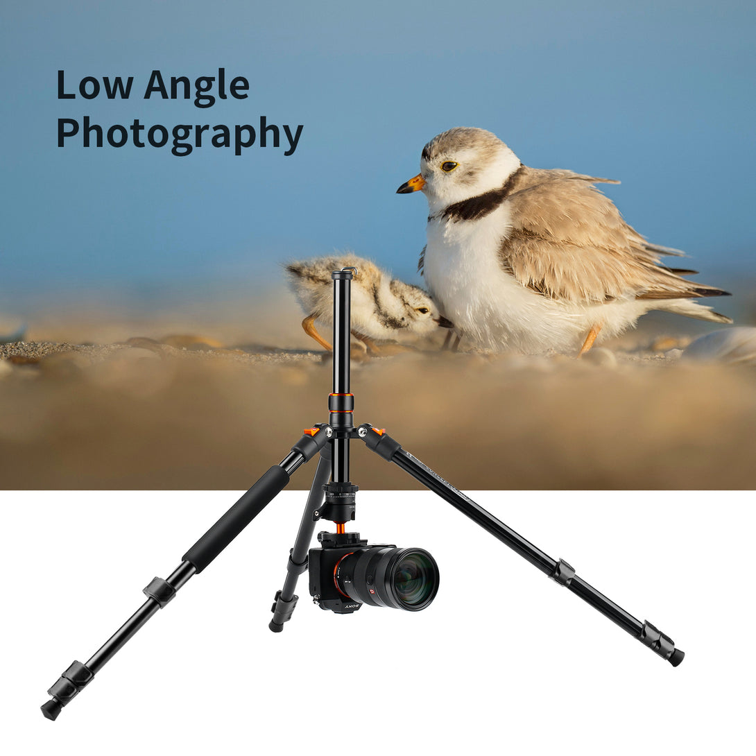 Aluminum Alloy Tripod K234A1+BH-28L