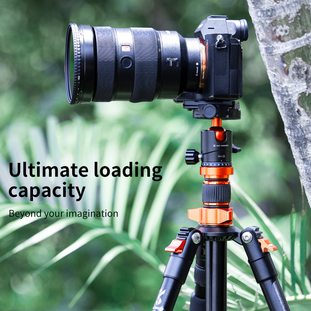 Tripod Accessory BH-25 Ball Head